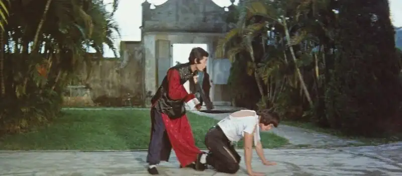 download snake in the monkey's shadow (1979) dual audio {hindi-english} 480p [320mb] | 720p [1.1gb] bluray