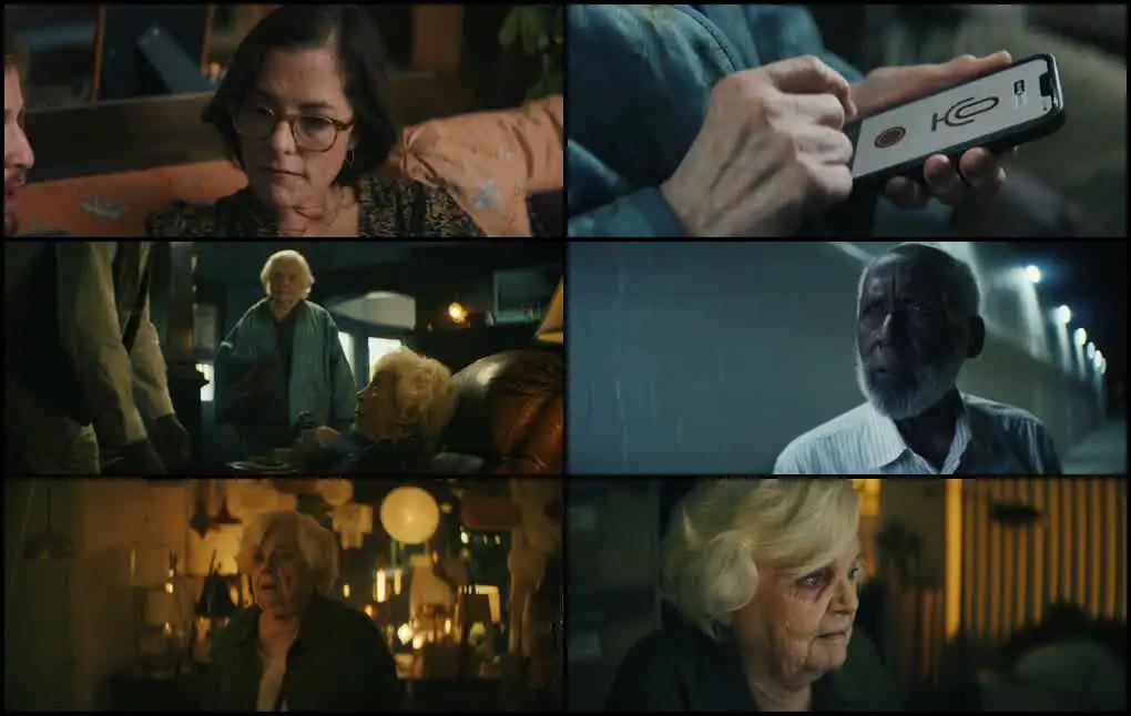 screenshot bcda81 thelma 2024