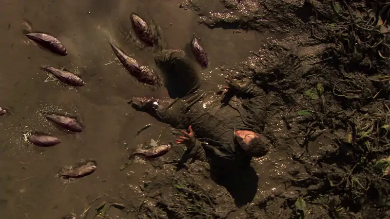 download frankenfish (2004) dual audio {hindi-english} web-dl 480p [300mb] | 720p [820mb] | 1080p [1.8gb]