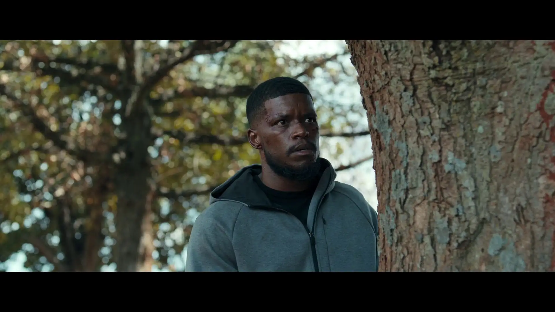 screenshot be5948 180 2026