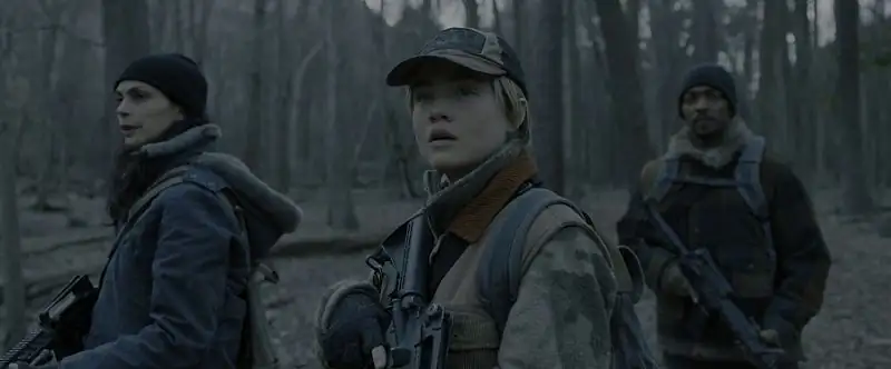 screenshot c103ce elevation 2024