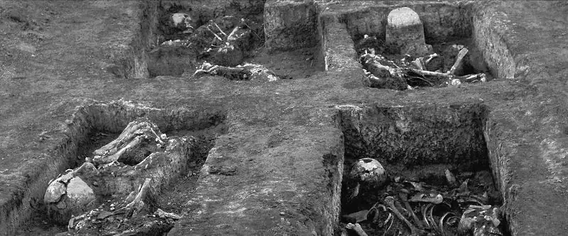 download mysteries of the terracotta warriors (2024) nf web-dl dual audio {hindi-english} 480p [260mb] | 720p [700mb] | 1080p [1.6gb]