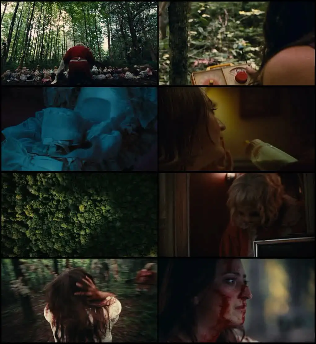 screenshot c849b9 dolly 2026