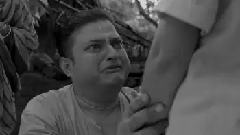 screenshot c9e2c3 avijatrik 2021