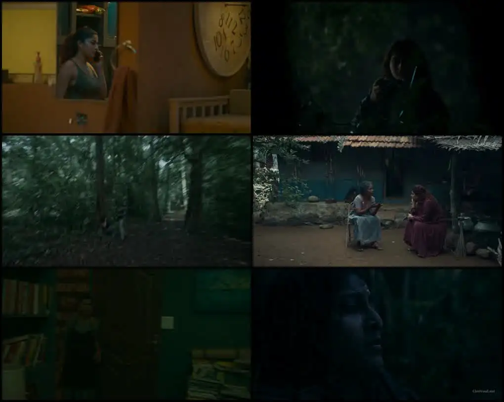 screenshot cd7cfb footage 2024