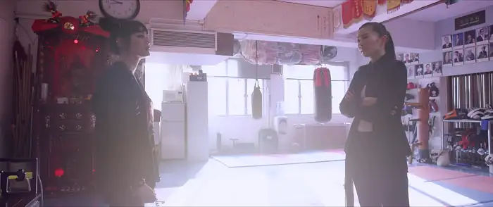 download lady bloodfight (2016) dual audio {hindi-english} 480p [350mb] | 720p [950mb] | 1080p [2gb]