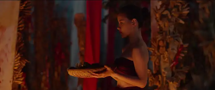 screenshot d41b2b waning moon 2020