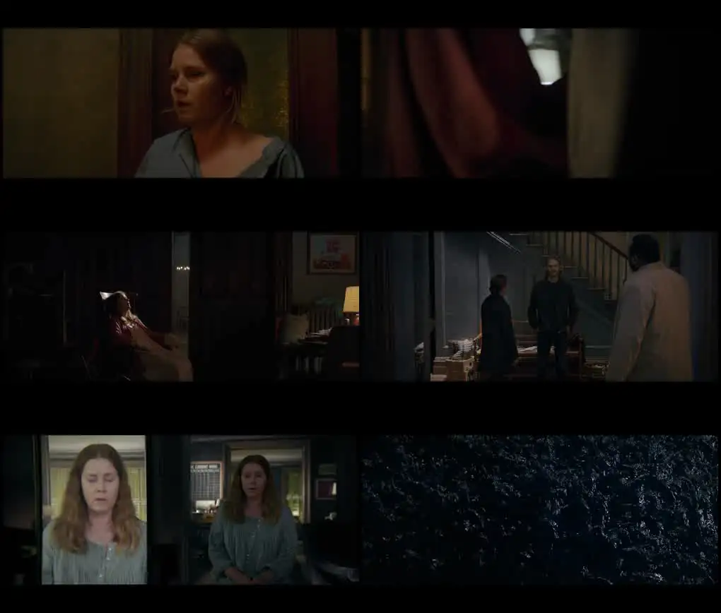 screenshot d4ab20 the woman in the window 2021
