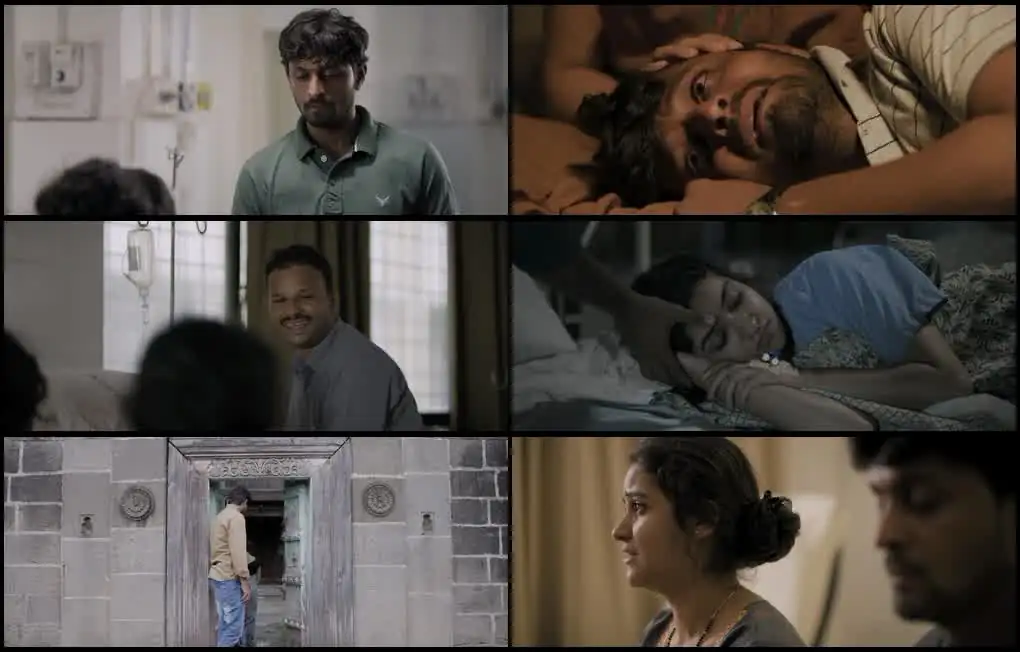 screenshot d56b1d kulup 2024