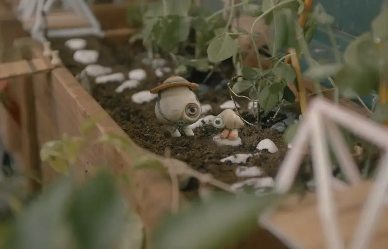 download marcel the shell with shoes on (2021) dual audio [hindi + english] web-dl 480p [300mb] | 720p [800mb] | 1080p [2gb]