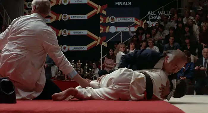 download the karate kid (1984) dual audio {hindi-english} 480p [400mb] | 720p [1gb] | 1080p [4gb]