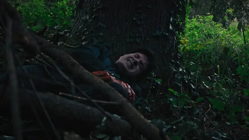 download bad weed (2019) dual audio {hindi-english} 480p [200mb] | 720p [800mb]