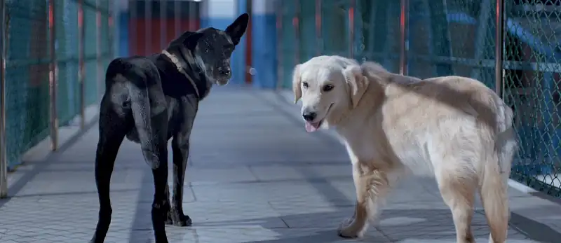 screenshot d86699 valatty 2023