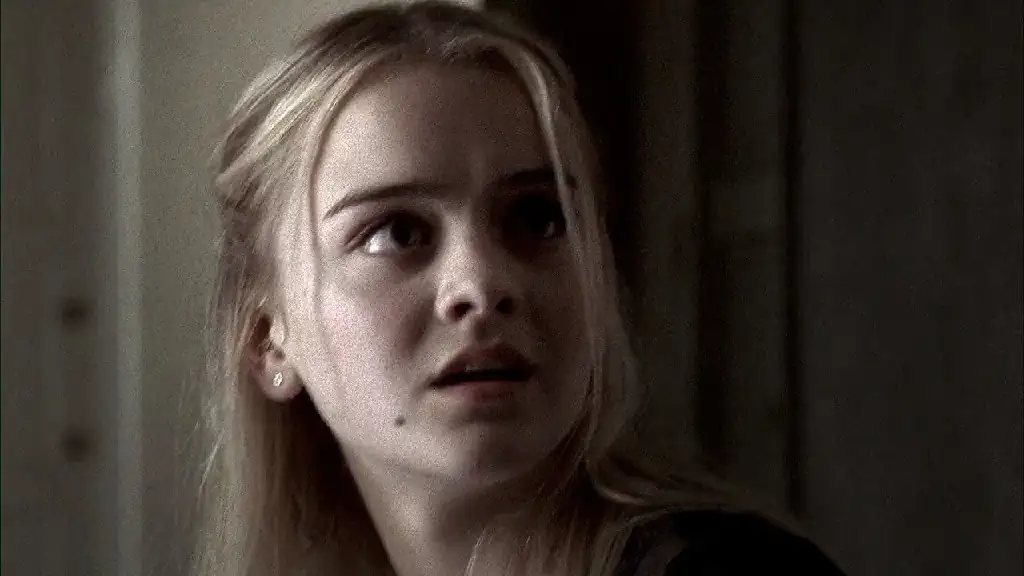 download glass house the good mother (2006) dual audio {hindi-english} 480p [300mb] | 720p [800mb]