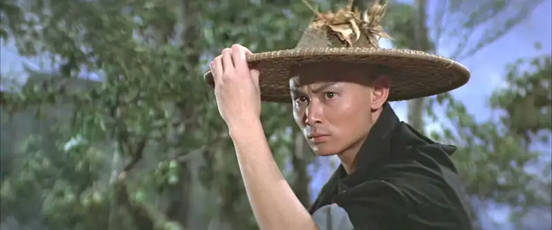 screenshot e18666 return to the 36th chamber 1980