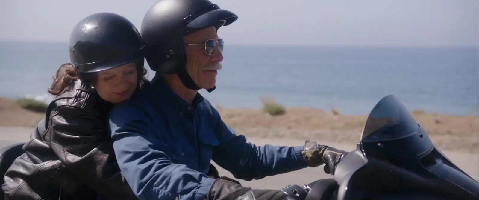 download the meddler (2015) dual audio [hindi + english] web-dl 480p [350mb] | 720p [950mb] | 1080p [2.1gb]