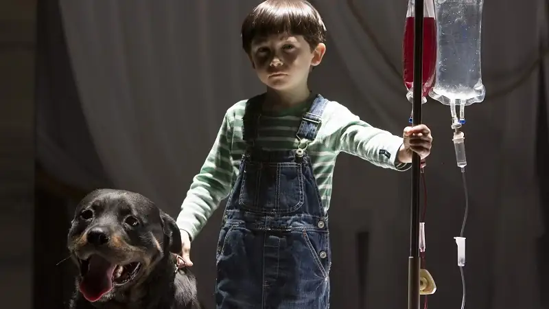 download the omen (2006) bluray dual audio {hindi-english} 480p [370mb] | 720p [1gb] | 1080p [2.3gb] full-movie