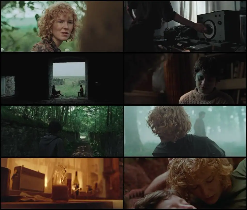 screenshot e5e52a rabbit trap 2025