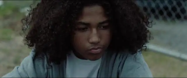 download kicks (2016) dual audio {hindi-english} 480p [300mb] | 720p [850mb]