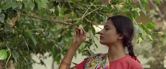 screenshot eada44 phulmania 2019