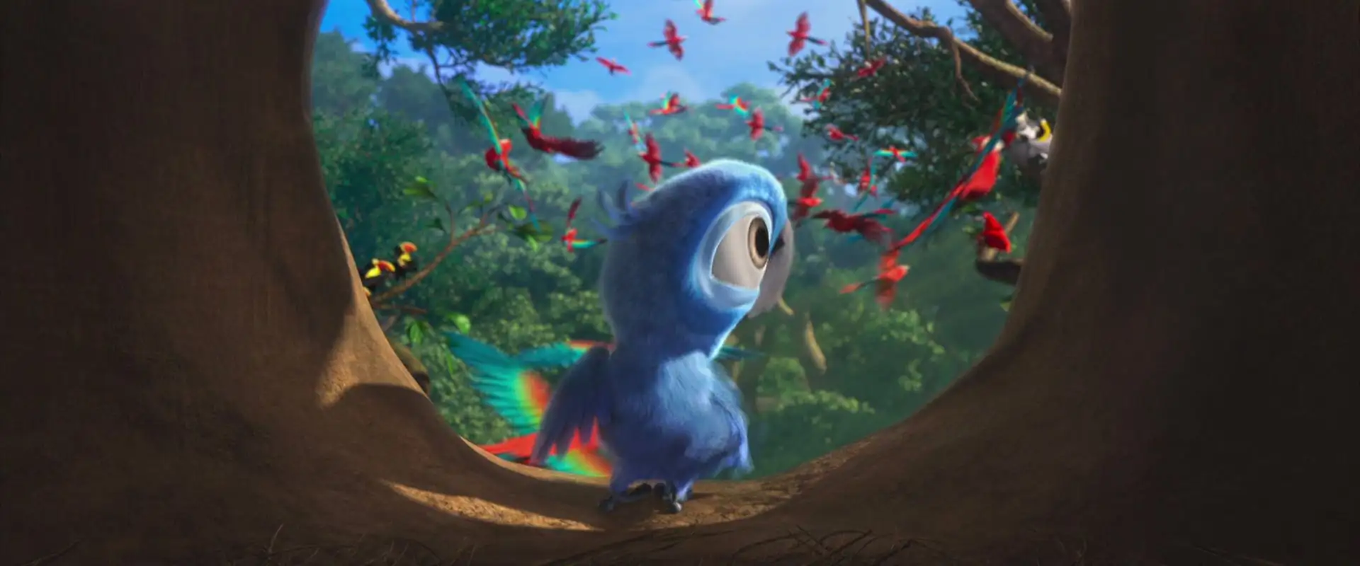 download rio (2011) dual audio {hindi-english} 480p [350mb] | 720p [1gb] | 1080p [2gb]