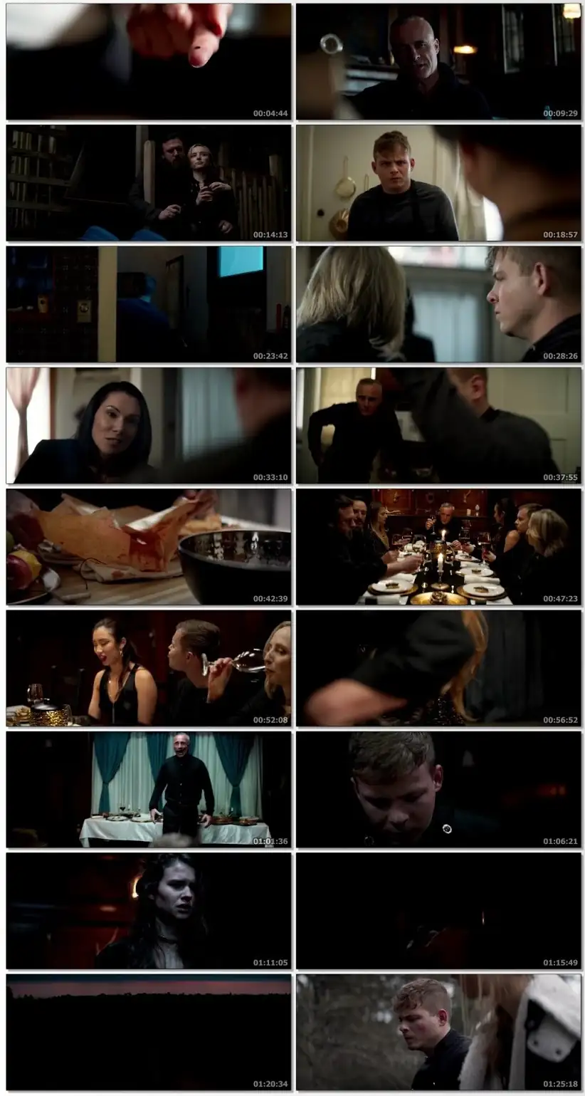 download broil (2020) dual audio full movie {hindi-english} 480p [300mb] | 720p [700mb]