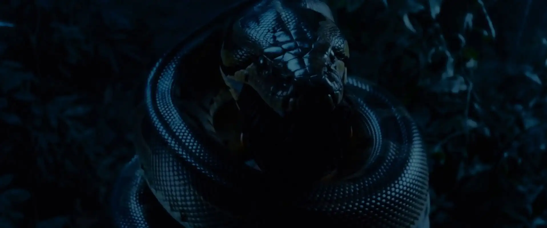 screenshot ee8bb0 the anacondas 2025