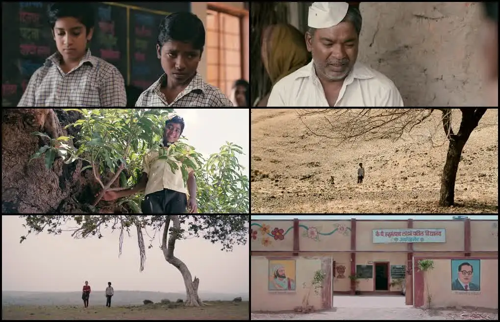 screenshot ef9484 fandry 2013