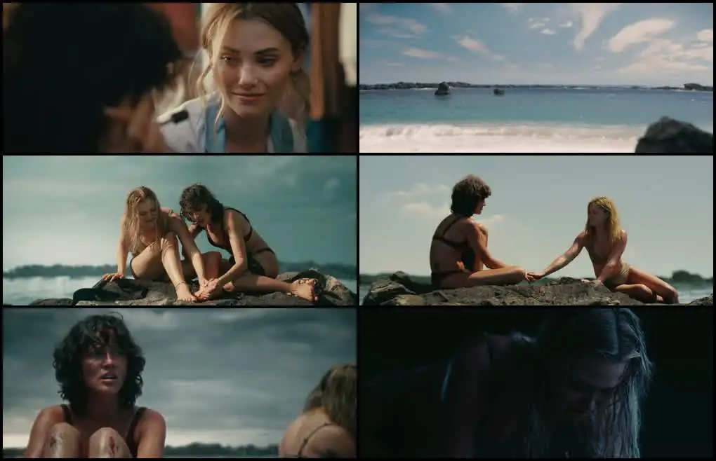 screenshot f20e66 killer whale 2026