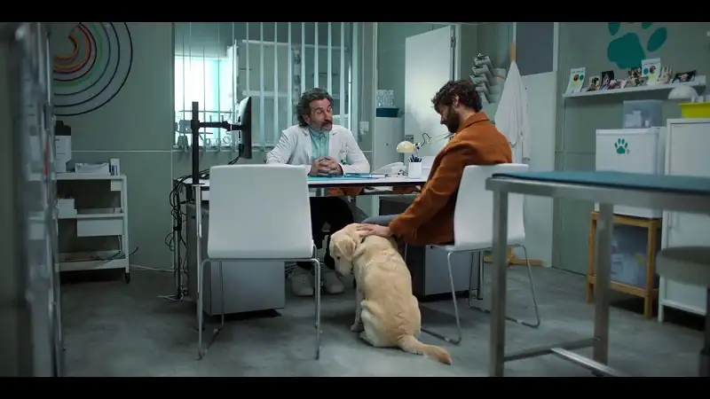 screenshot f41cc4 netflix old dog new tricks 2025