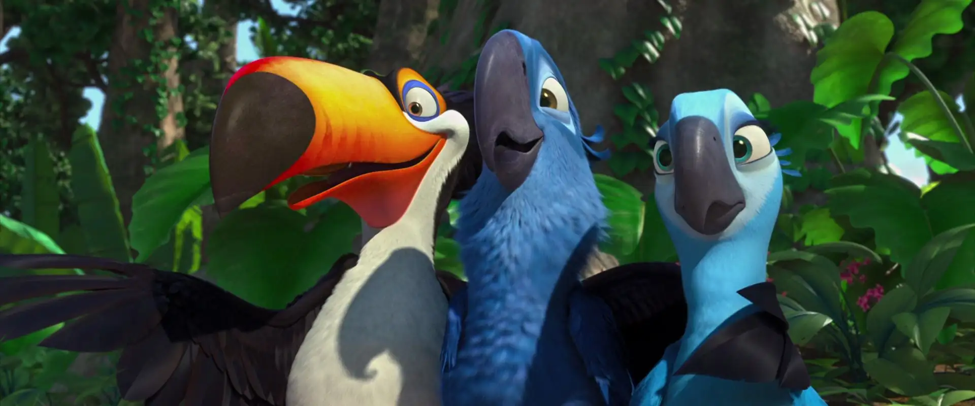 download rio (2011) dual audio {hindi-english} 480p [350mb] | 720p [1gb] | 1080p [2gb]