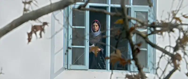 screenshot f5bfe6 haider 2014