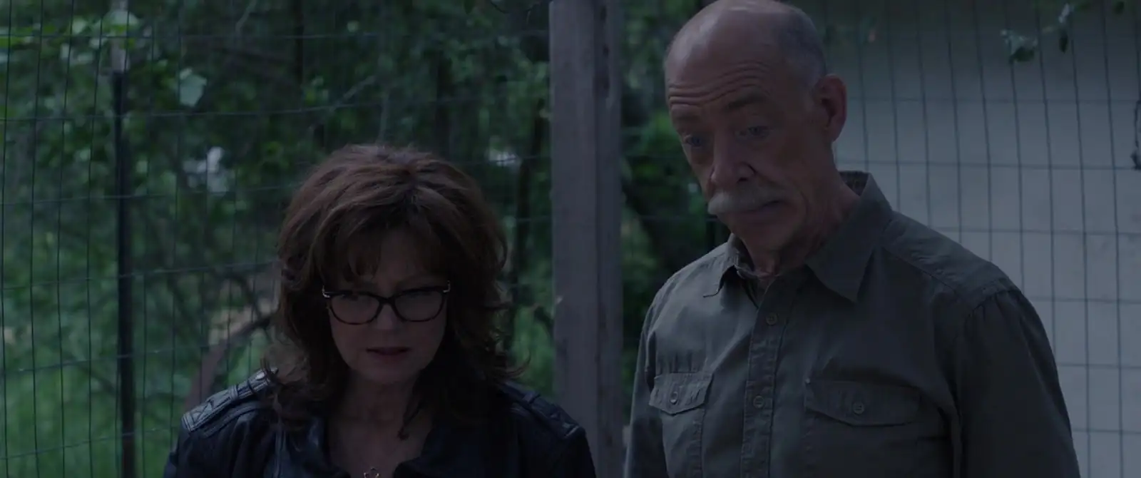 download the meddler (2015) dual audio [hindi + english] web-dl 480p [350mb] | 720p [950mb] | 1080p [2.1gb]