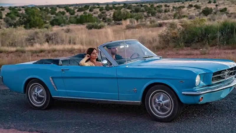 download wilderness - amazon original (2023) season 1 complete dual audio {hindi-english} 480p | 720p | 1080p web-dl