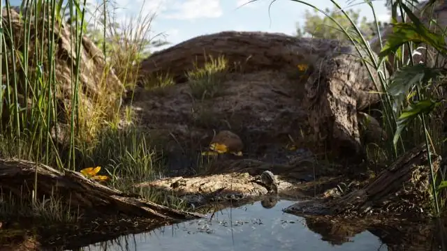 download the lion king (2019) dual audio {hindi-english} 480p [350mb] | 720p [1gb] | 1080p [3gb]