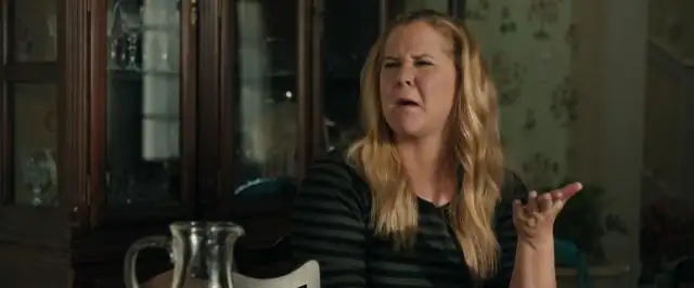 download snatched (2017) dual audio {hindi-english} 480p [300mb] | 720p [1gb]