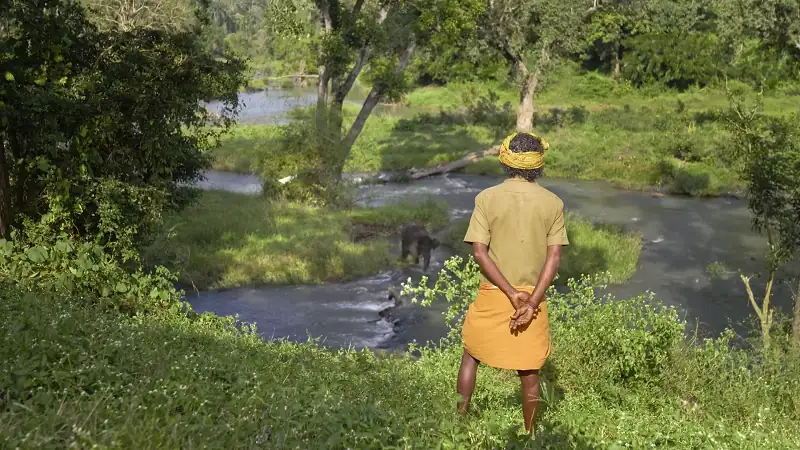 download the elephant whisperers (2022) web-dl dual audio {hindi-english} 480p [300mb] | 720p [470mb] | 1080p [1.4gb]