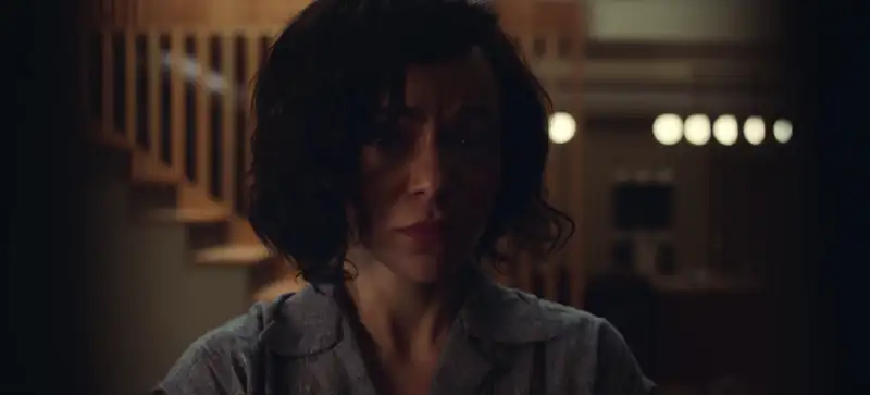 download the strays - netflix original (2023) web-dl dual audio {hindi-english} 480p [300mb] | 720p [650mb] | 1080p [1.3gb]