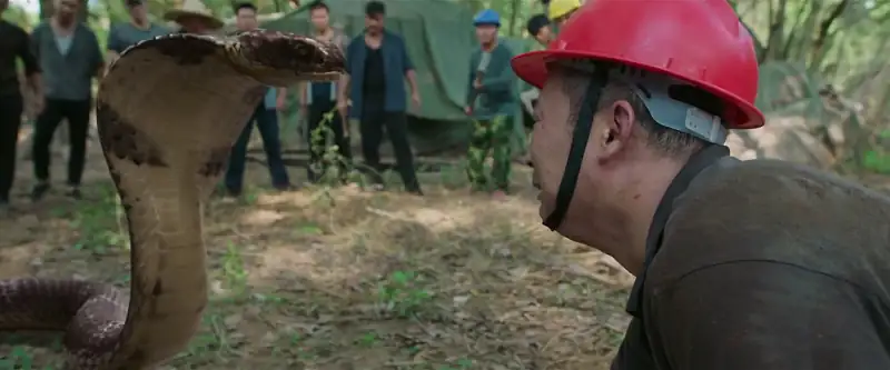 download king of serpent (2021) bluray dual audio {hindi-chinese} 480p [350mb] | 720p [850mb] | 1080p [1.5gb]