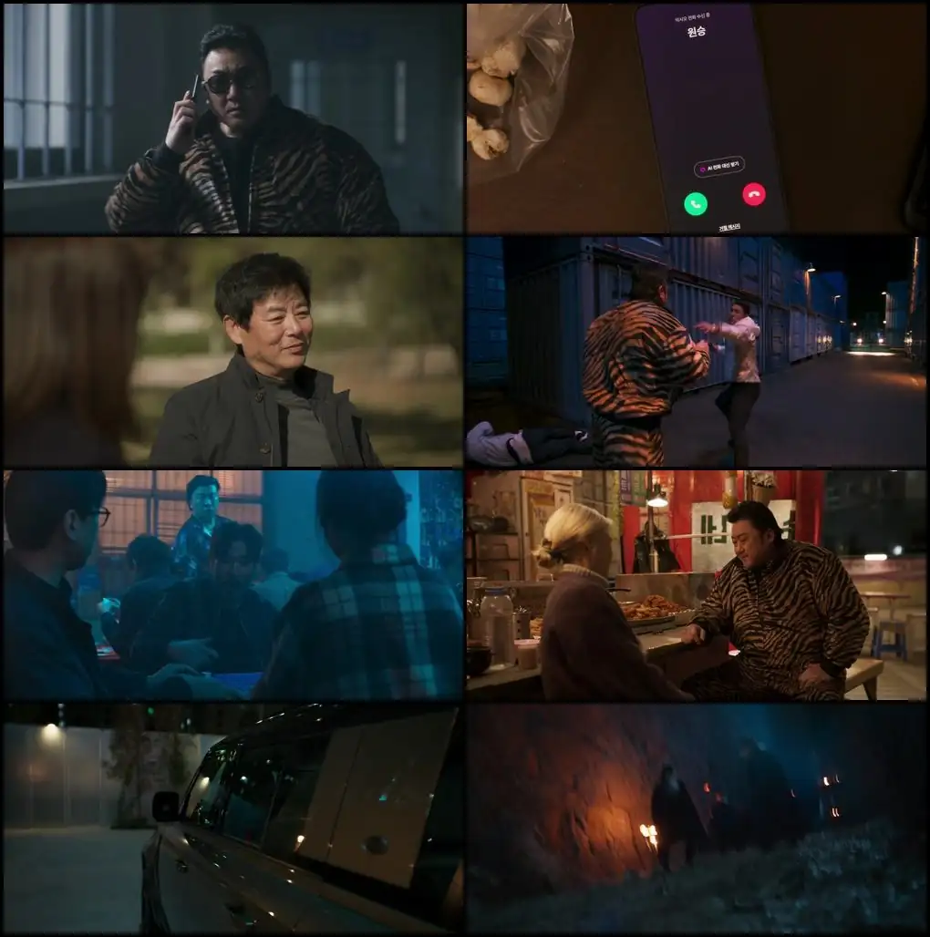 screenshot fef8fe twelve 2025