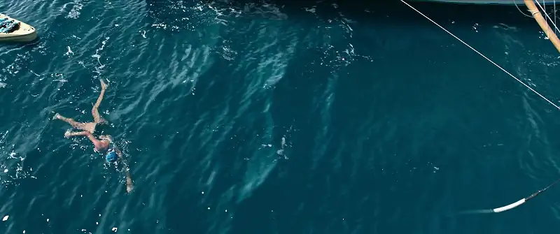 download nyad (2023) nf web-dl dual audio {hindi-english} 480p [300mb] | 720p [1.3gb] | 1080p [3.2gb]